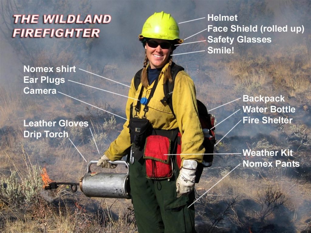 Wildfire Defensible Space « Pflugerville Fire Department ESD 2